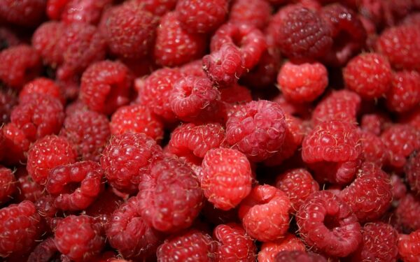raspberries, fruits, berries-3798021.jpg